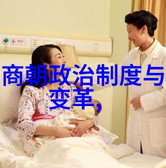 南宋与北宋历史资料李岩明末李自成起义军的智谋巨星犹如夜空中璀璨的北斗指引着历史航船前行