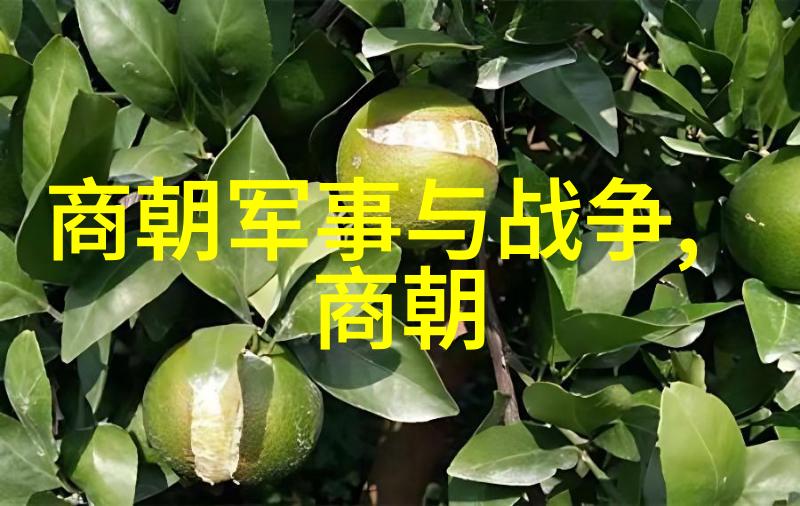 南明监国历代概览