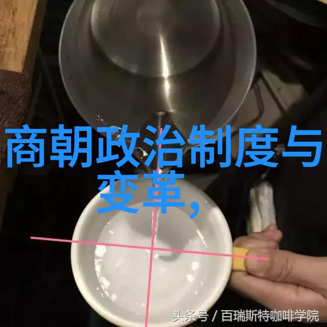 中国学生的心理健康日常揭秘青少年压力的源头