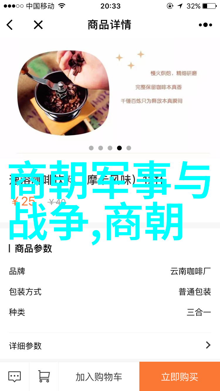 辉煌的盛世元朝年号序列与其背后的历史